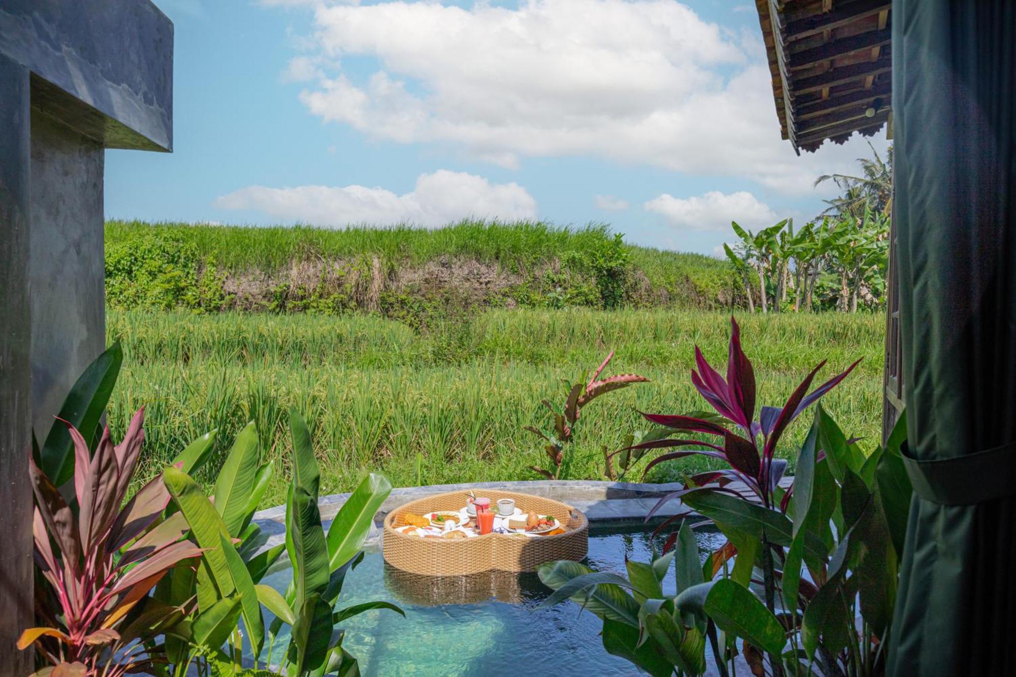 Abian Ubud View Zewnętrze zdjęcie